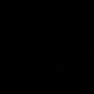 Meet your Posher, Augustus